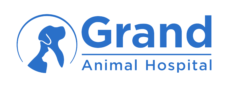 Grand Animal Hospital